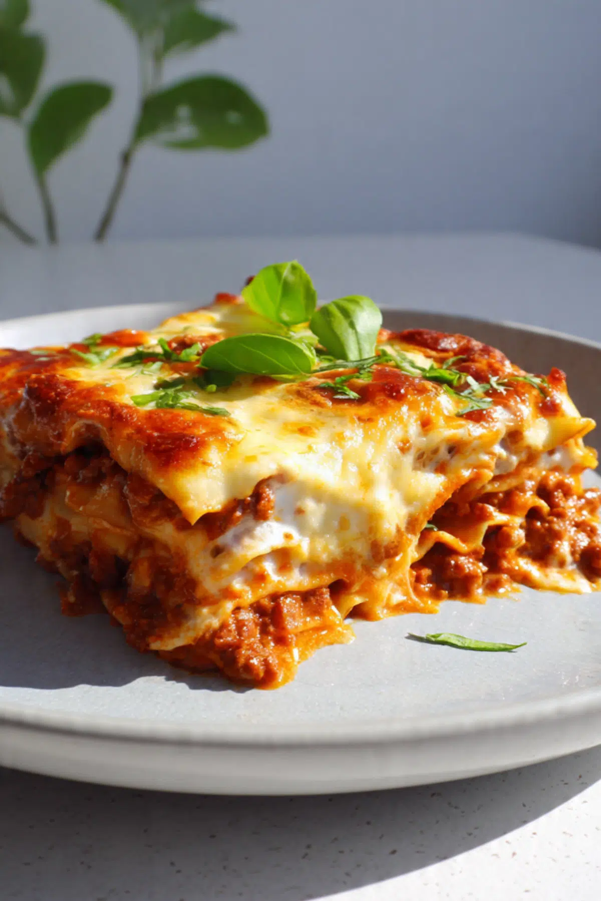 One Pan Lazy Lasagne